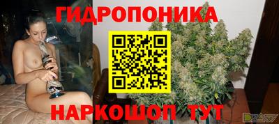 СК Заволжье